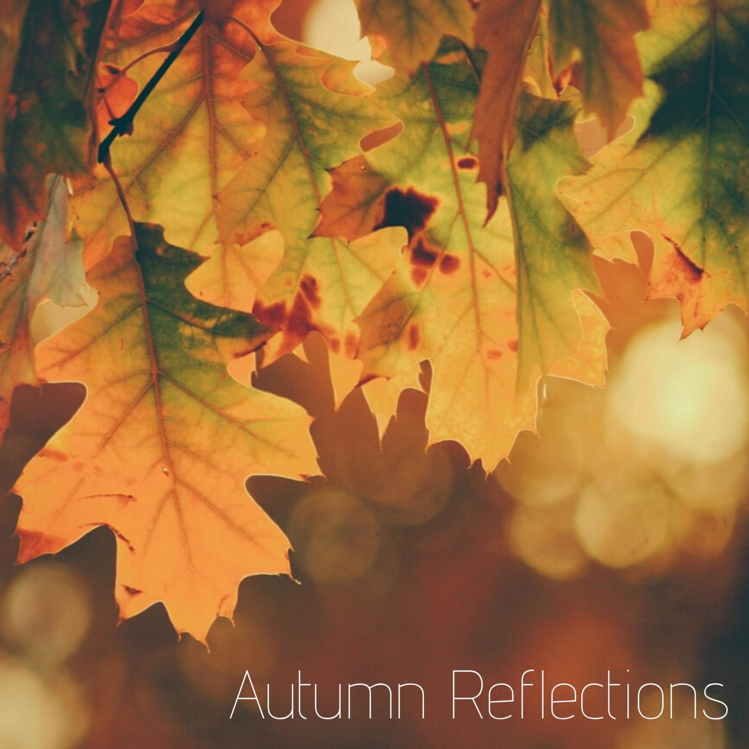 Autumn Reflections 2019 Albums Daria Semikina   Autumn Reflections 2019 1536x1536 